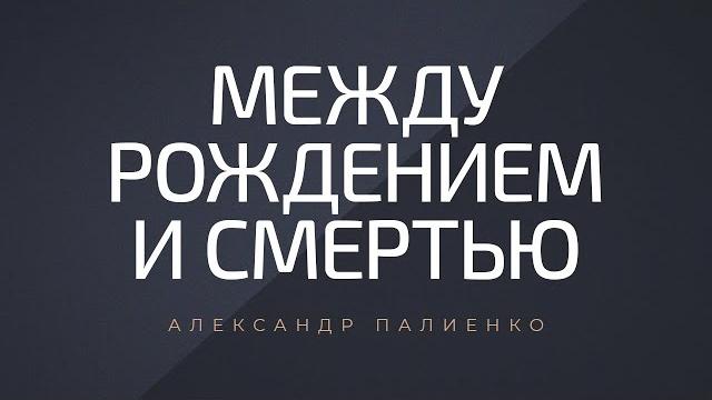 Между рождением и смертью. александр палиенко. Между рождением и смертью. александр палиенко.