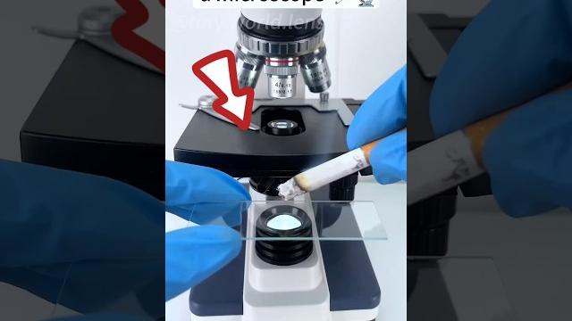 Ada apa itu didalam rokok! #shorts #rokok #microscope Ada apa itu didalam rokok! #shorts #rokok #microscope