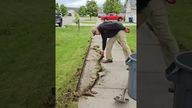 Asmr yard edging Asmr yard edging