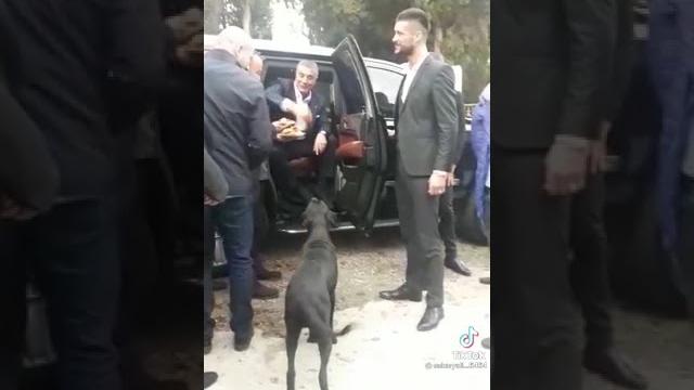 Sedat peker adamına kızıyor Sedat peker adamına kızıyor