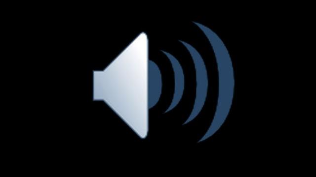 Real fart sounds. Real fart sounds.