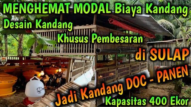 Menghemat modal biaya kandang dgn desain kandang khusus pembesaran di sulap jadi kandang doc - panen Menghemat modal biaya kandang dgn desain kandang khusus pembesaran di sulap jadi kandang doc - panen