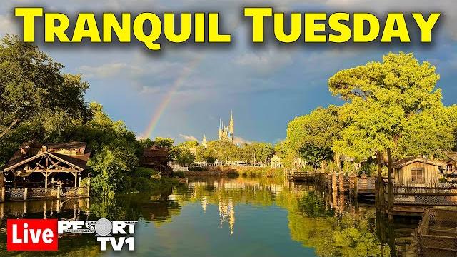 Live: tranquil tuesday at magic kingdom - a relaxing evening - walt disney world - 6-10-25 Live: tranquil tuesday at magic kingdom - a relaxing evening - walt disney world - 6-10-25