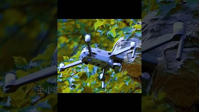 Drone hits nest nest#dronevideo #djimini4pro #djiair3 #djimavic3pro #djimavic3 #djiair2s #dj Drone hits nest nest#dronevideo #djimini4pro #djiair3 #djimavic3pro #djimavic3 #djiair2s #dj