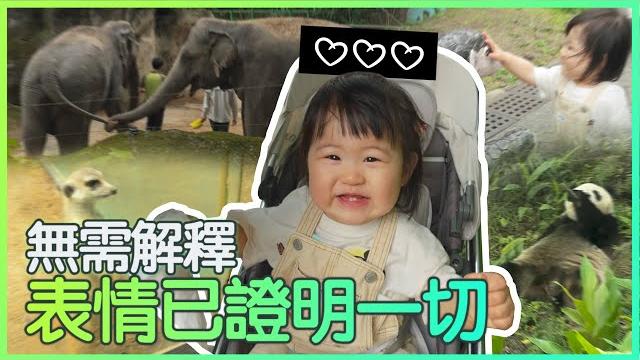 亞洲最強動物園?我信了!️韓國夫妻 한국쀼 亞洲最強動物園?我信了!️韓國夫妻 한국쀼