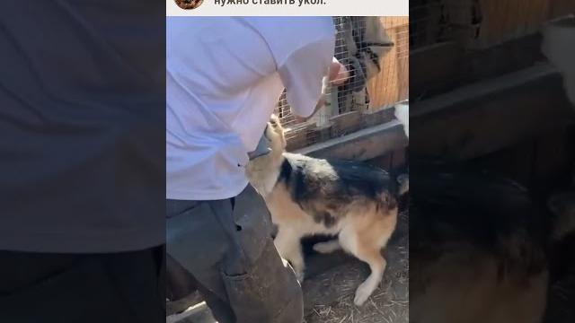 Сколько стоит одна вакцина Сколько стоит одна вакцина