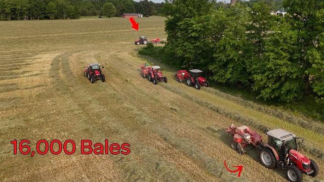 Massive hay making effort - 9 balers running Massive hay making effort - 9 balers running