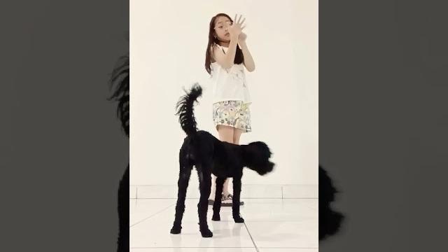 Cola lucu Cola lucu