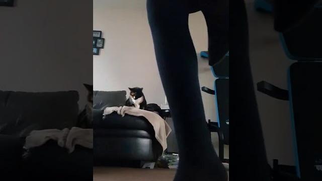 Tik tok etek altı frikik Tik tok etek altı frikik