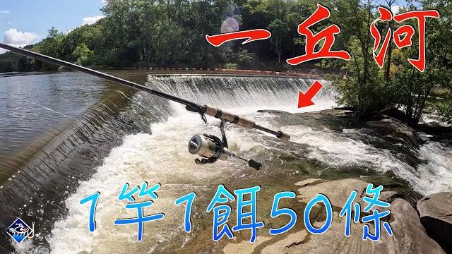 【軟餌之王】在河裡威力有多大?!初探美國「一丘河」,半天起50條#路亞岸釣#溪流路亞 #大漁視角 【軟餌之王】在河裡威力有多大?!初探美國「一丘河」,半天起50條#路亞岸釣#溪流路亞 #大漁視角
