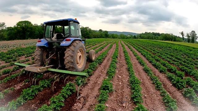 Fighting a huge problem in our fields Fighting a huge problem in our fields
