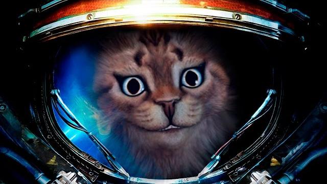 Как живут космонавты | факты для детей | семен ученый Как живут космонавты | факты для детей | семен ученый