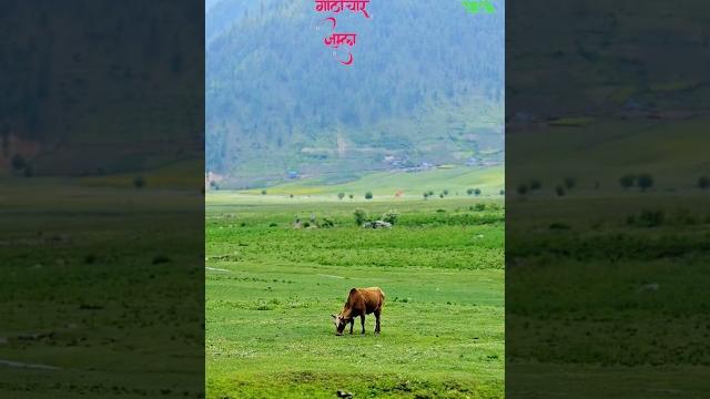 #gothichaur #travel #vlog #karnali #gothichaur #travel #vlog #karnali
