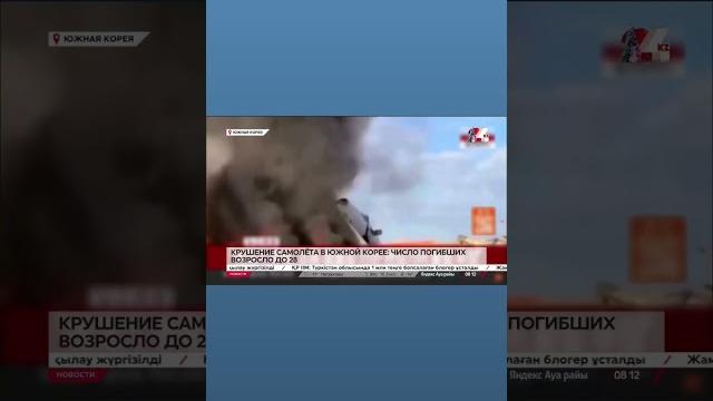 Самолёт разбился в южной корее: выжили два человека Самолёт разбился в южной корее: выжили два человека