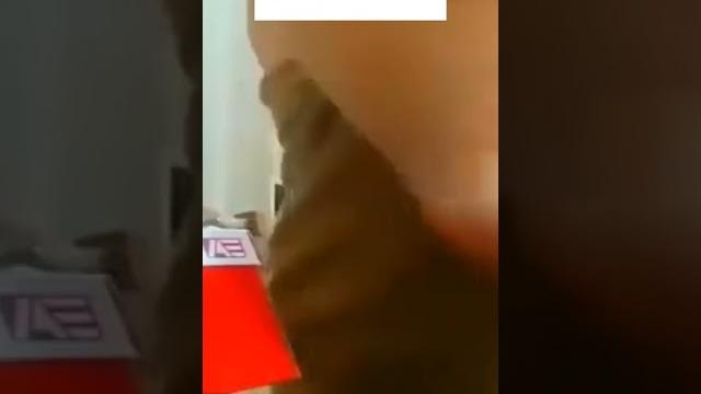 Lepas handuk depan abang ojol Lepas handuk depan abang ojol