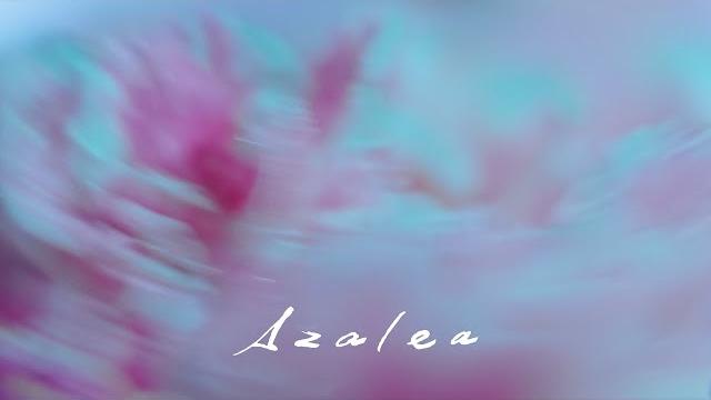 米津玄師 kenshi yonezu - azalea 米津玄師 kenshi yonezu - azalea