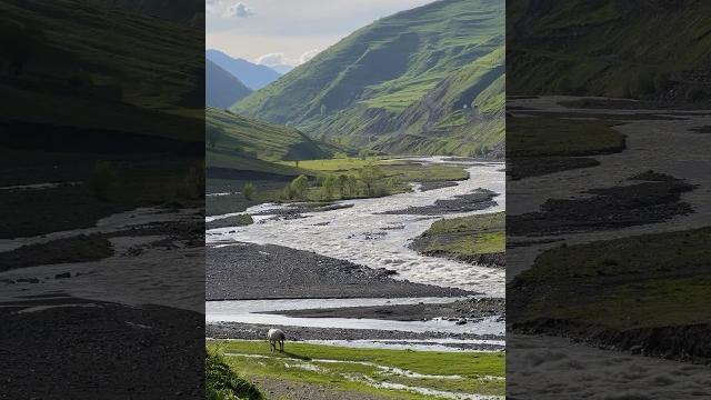 В дагестане чем выше тем чище ручьи#природныепейзажи#отдых#travel#nature#дагестан#горы#тренд В дагестане чем выше тем чище ручьи#природныепейзажи#отдых#travel#nature#дагестан#горы#тренд
