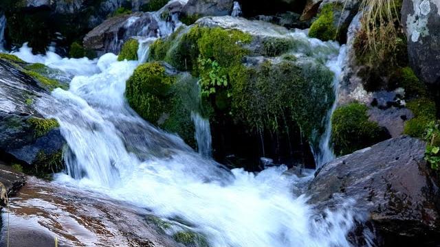 Звуки природы для сна журчание воды пение птиц шум горного водопада реки. music sound for sleep Звуки природы для сна журчание воды пение птиц шум горного водопада реки. music sound for sleep