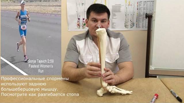 3 серия. плоскостопие причина, упражнения для лечения плоскостопия,задняя большеберцовая мышца 3 серия. плоскостопие причина, упражнения для лечения плоскостопия,задняя большеберцовая мышца