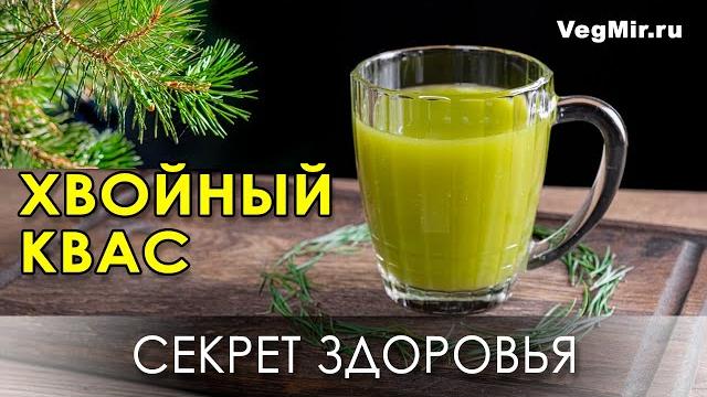 Coniferous kvass is the secret of rejuvenation and longevity. the right recipe for a medicinal drink Coniferous kvass is the secret of rejuvenation and longevity. the right recipe for a medicinal drink