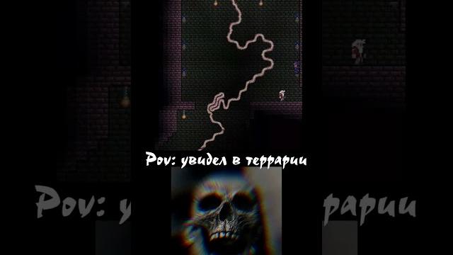 Утроба... #террария #terraria #рекомендации #memes Утроба... #террария #terraria #рекомендации #memes
