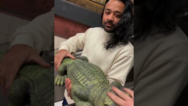Oh u wanna touch my alligator? @clo #shorts Oh u wanna touch my alligator? @clo #shorts