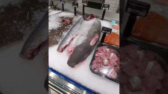 Fish in lulu mall | desi agro Fish in lulu mall | desi agro