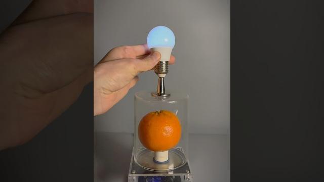Get your tesla coil herelink in bio! Get your tesla coil herelink in bio!