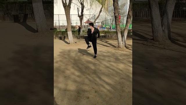 少林羅漢螳螂拳・七星螳螂拳 姓名不明 虎燕長拳 2023年 少林羅漢螳螂拳・七星螳螂拳 姓名不明 虎燕長拳 2023年
