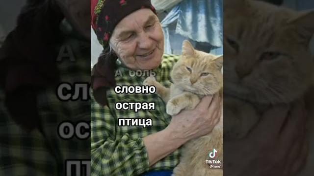 Ей не с кем оставить кота Ей не с кем оставить кота