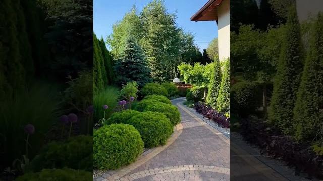 Самый красивый сад, самый лучший и необычный дом, самый красивый участок в мире, самый лучший двор Самый красивый сад, самый лучший и необычный дом, самый красивый участок в мире, самый лучший двор