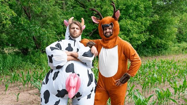 Cow vs deer Cow vs deer