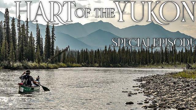 Hart of the yukon - 14 days solo camping in the yukon wilderness - special episode Hart of the yukon - 14 days solo camping in the yukon wilderness - special episode
