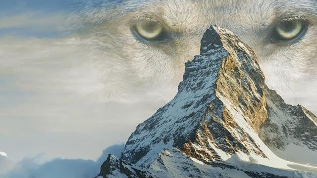 The sanctuary, story of survival in the alps The sanctuary, story of survival in the alps