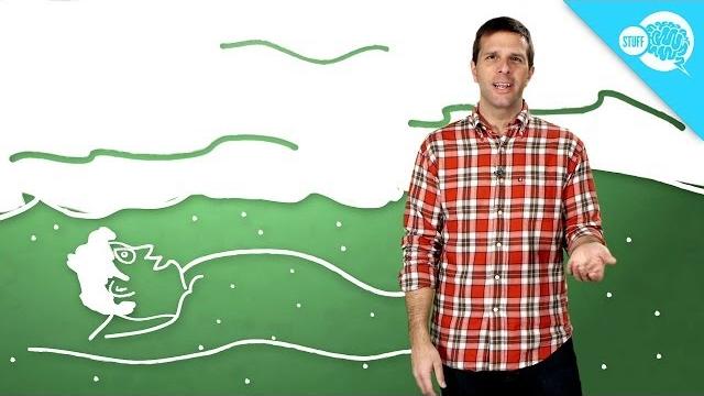 How do tides work? How do tides work?
