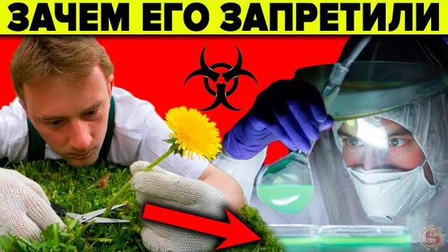 Зачем запретили одуванчик? 8 фактов о которых не знают врачи Зачем запретили одуванчик? 8 фактов о которых не знают врачи