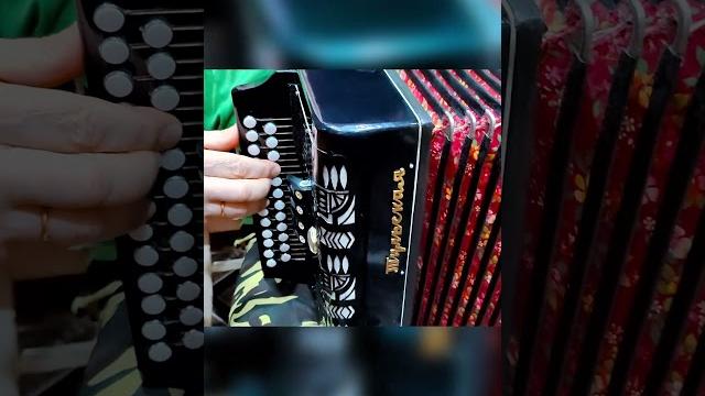 Песня от всей души! напилася я пьяна на гармони 3 аккорда и 300 песен #гармонь #обучение #игра # Песня от всей души! напилася я пьяна на гармони 3 аккорда и 300 песен #гармонь #обучение #игра #