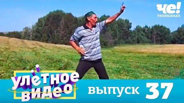 Улетное видео | выпуск 37 Улетное видео | выпуск 37