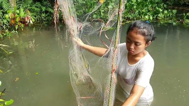 Hunting fish, today i will hunt big fish, did it work? Hunting fish, today i will hunt big fish, did it work?