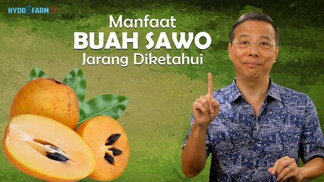 Manfaat buah sawo jarang diketahui Manfaat buah sawo jarang diketahui