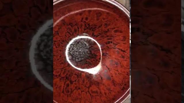 垚鑫 建盞 紅鷓鴣 026-1802-1450 垚鑫 建盞 紅鷓鴣 026-1802-1450