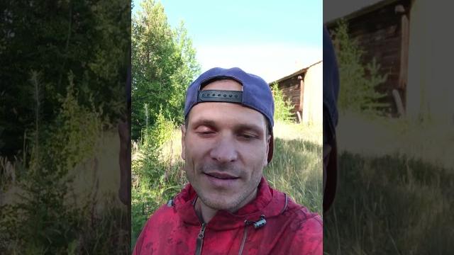 #металлолома много не бывает #пилорама на бис #металлолома много не бывает #пилорама на бис
