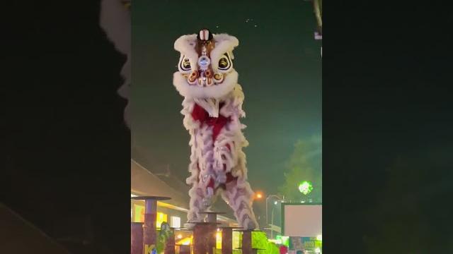 Barongsai atraksi Barongsai atraksi