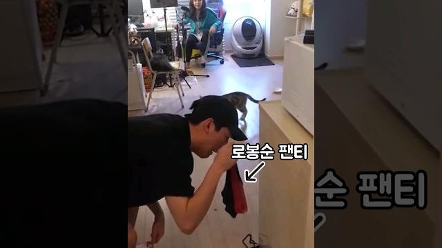 로봉순 빤스 냄새 맡다가 쳐맞는 신태일 로봉순 빤스 냄새 맡다가 쳐맞는 신태일