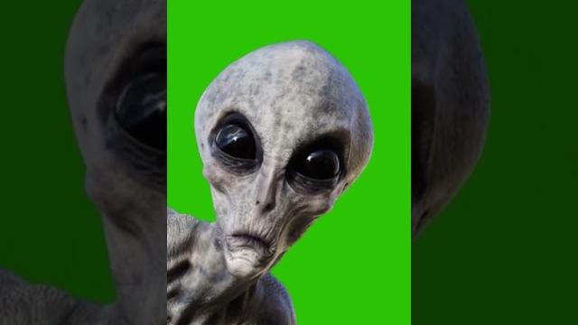 Green screen alien gray Green screen alien gray