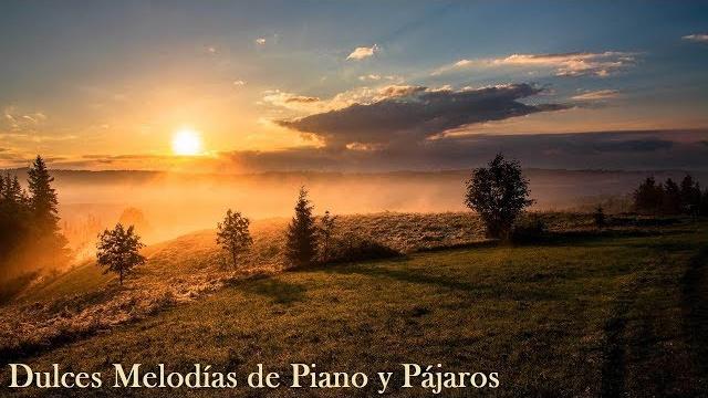 Relajación curativa del estrés, ansiedad y estados depresivos | sanar mente, cuerpo y alma | 7 horas Relajación curativa del estrés, ansiedad y estados depresivos | sanar mente, cuerpo y alma | 7 horas