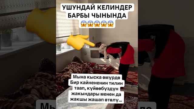 Азаматсын #тикток #моялошадь #юмор #лошадки #тренд Азаматсын #тикток #моялошадь #юмор #лошадки #тренд