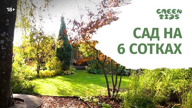 Красивый сад на 6 сотках. обзор сада Красивый сад на 6 сотках. обзор сада