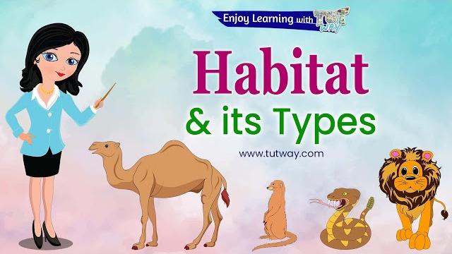 Animals and their habitats | habitat of animals | animal habitats | animal homes | science Animals and their habitats | habitat of animals | animal habitats | animal homes | science