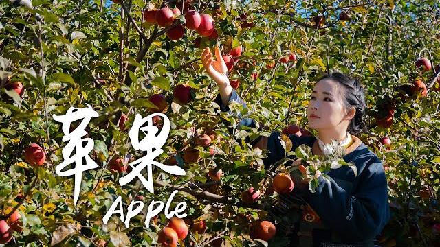 「一席一果」糖心苹果——甜到结晶的丑苹果【滇西小哥】 「一席一果」糖心苹果——甜到结晶的丑苹果【滇西小哥】